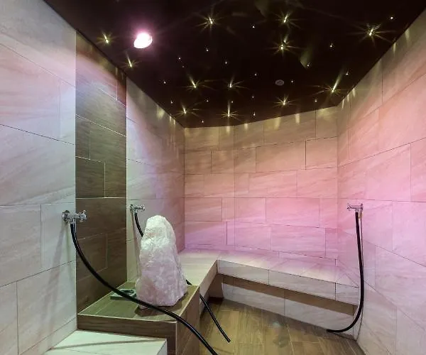 酒店 弗兰兹霍夫酒店