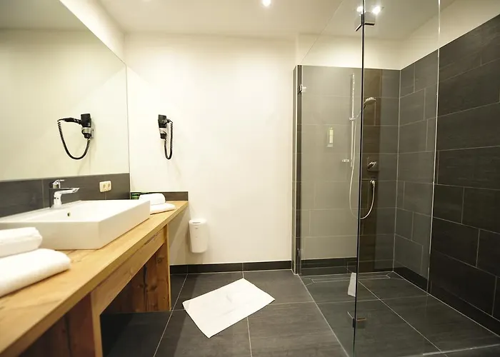 酒店 弗兰兹霍夫酒店 瑟尔