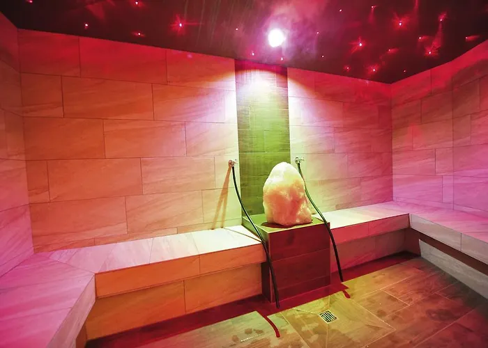 酒店 弗兰兹霍夫酒店 瑟尔